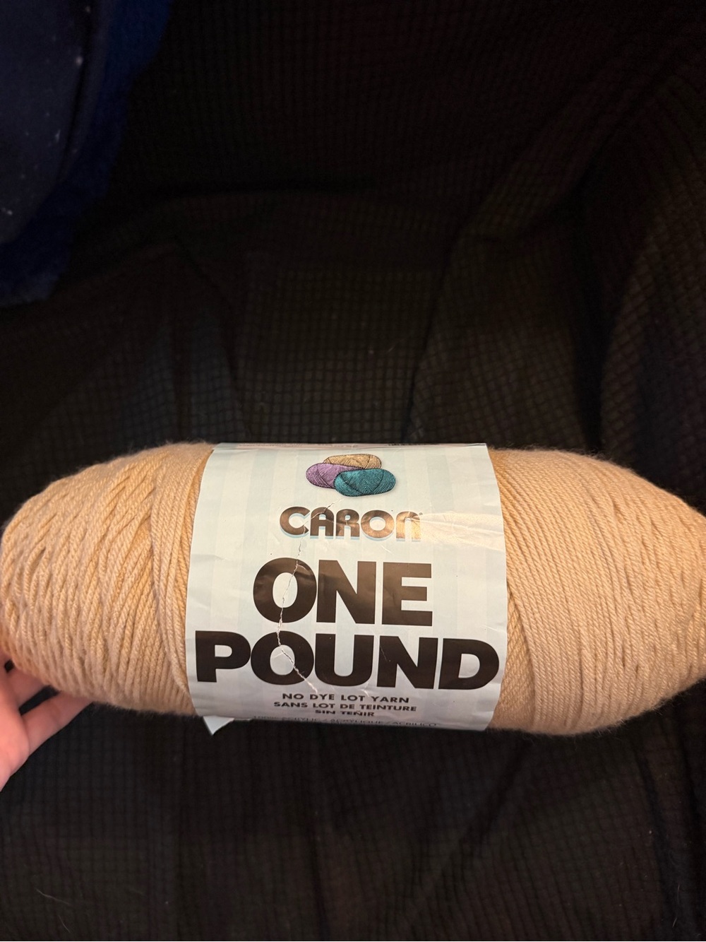 Caron One Pound Yarn in Beige - Soft Acrylic for Home Crafts